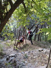 zeytincik kayıp