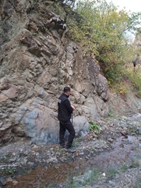 zeytincik kayıp